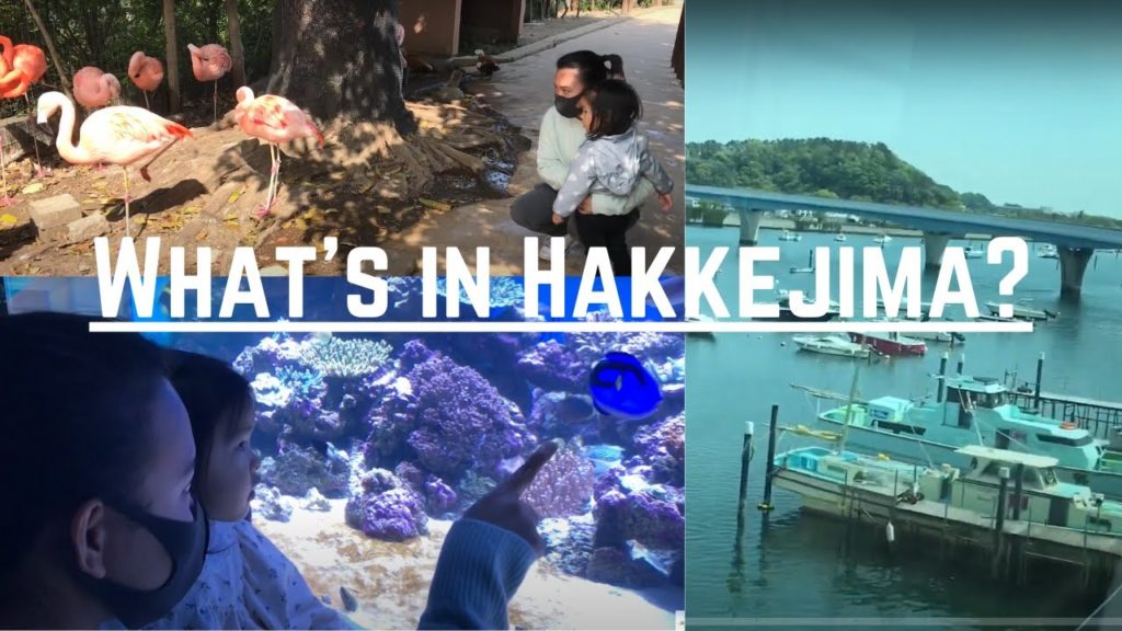Day trip in Yokohama / Hakkejima sea paradise and Marine park
