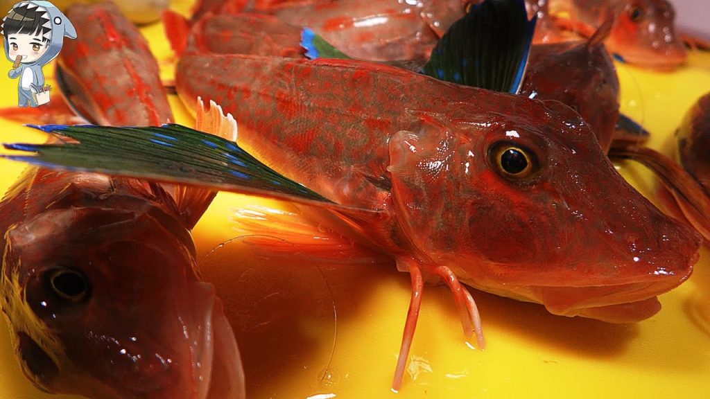 KOREAN STREET FOOD SEAROBIN FISH SASHIMI POHANG KOREA 성대 포항 송도활어회센터 180321