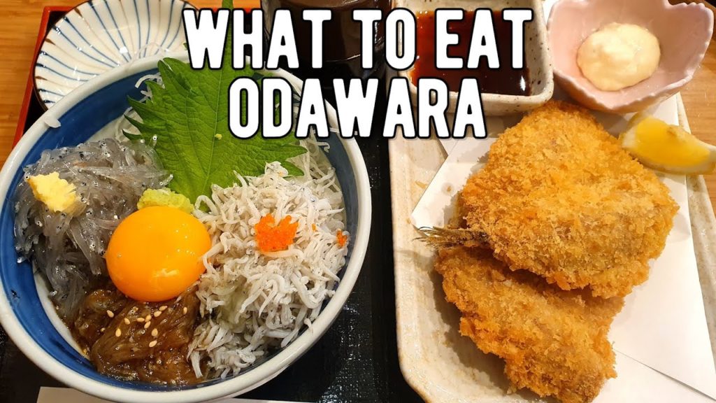 Odawara Day Trip | Odawara Castle & Fresh Seafood Bowls | Japan Cheap Food & Travel