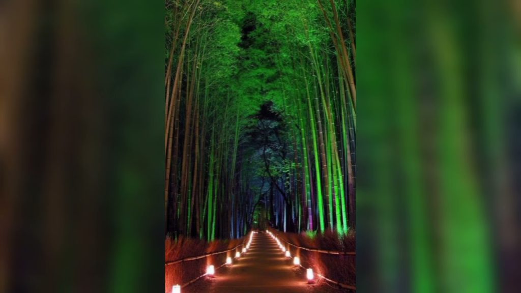 Top tourist places in Japan - Part 1