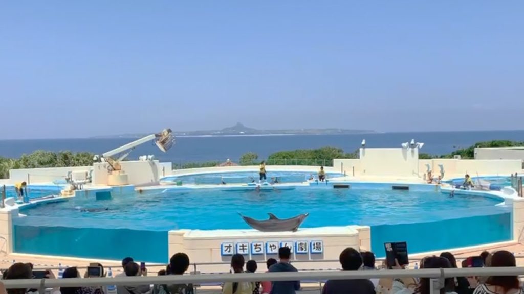 Dolphin Show | Churaumi Aquarium Dolphin Show | Churaumi Aquarium