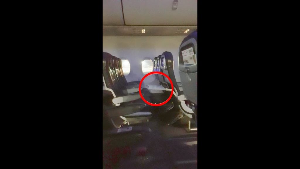 When the Flight is so empty that the Table wants to start clapping | Boeing 737-800 Night Landing When the Flight is so empty that the Table wants to start clapping | Boeing 737-800 Night Landing