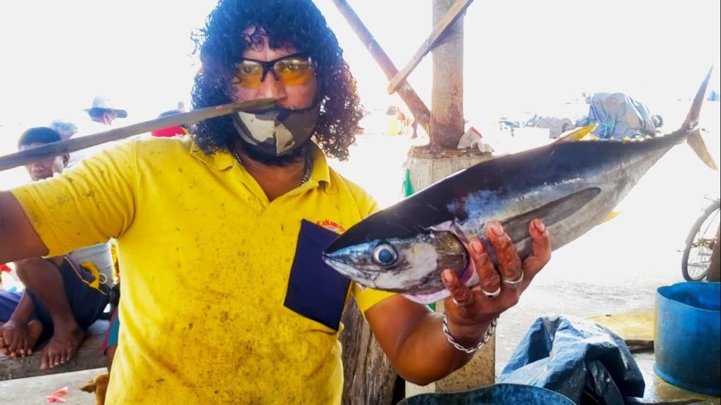 Skipjack Tuna And Yellow Fin Tuna Cutting | Fish Cutting Sri Lanka