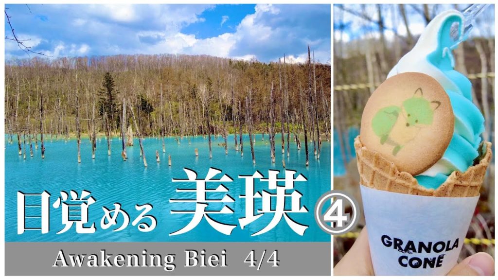 【北海道観光】初夏の美瑛観光ベストコース4/4 (白金ビルケ•青い池) 【北海道観光】初夏の美瑛観光ベストコース4/4 (白金ビルケ•青い池)