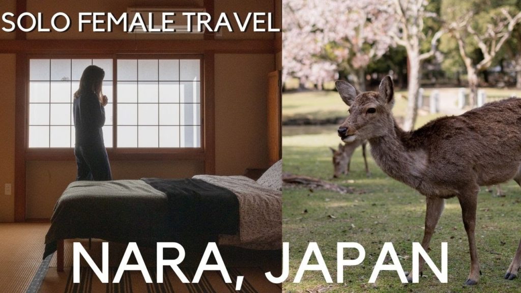 Solo travel in Japan: Nara 奈良市 | sounds of Japan, aesthetic, traditional Japanese home 4K