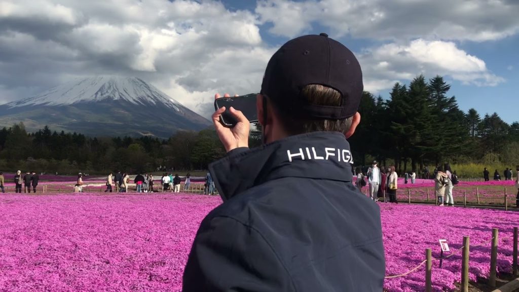 Japan HD-Fuji Shibasakura Festival -Kawagujico Japan - 富士芝桜祭りMountain Fuji view and  Nature in Japan