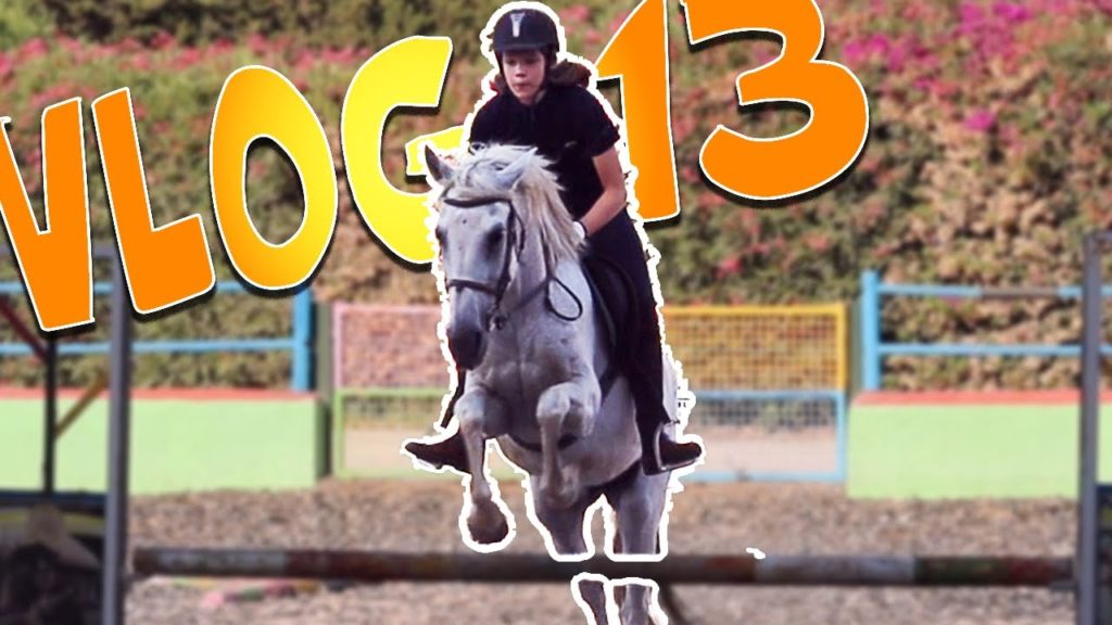 Horse riding in BIGGEST horserange of ESTEPONA in times of CORONA! | Vacation Vlog Spain | VLOG 13 | Horse riding in BIGGEST horserange of ESTEPONA in times of CORONA! | Vacation Vlog Spain | VLOG 13 |