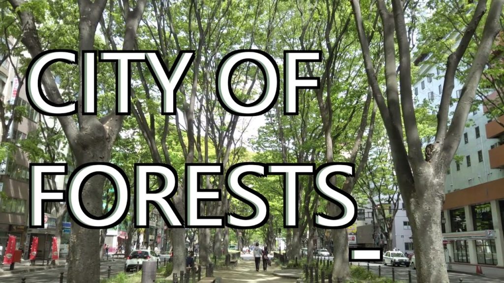 CITY OF FORESTS, SENDAI, JAPAN