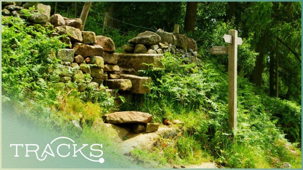 England's Ancient "Motorway" | Off The Beaten Track | TRACKS