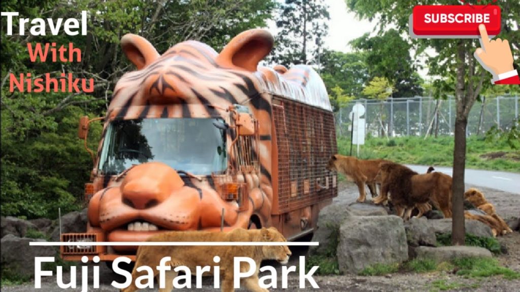 # Fuji Safari Park # 富士サファリパーク # Japan # Fuji Safari Park # 富士サファリパーク # Japan