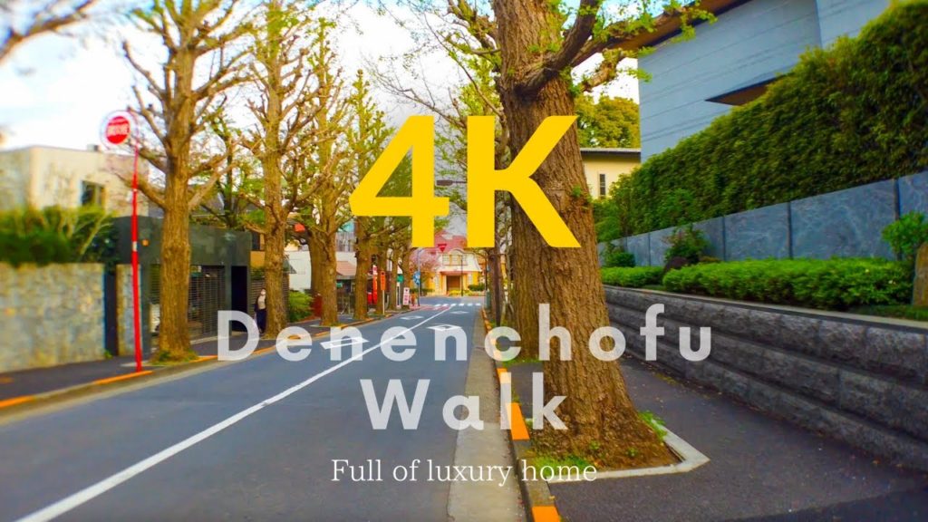[4K]高級住宅街 - 豪邸だらけの凄すぎるセレブエリアを散歩(田園調布)
