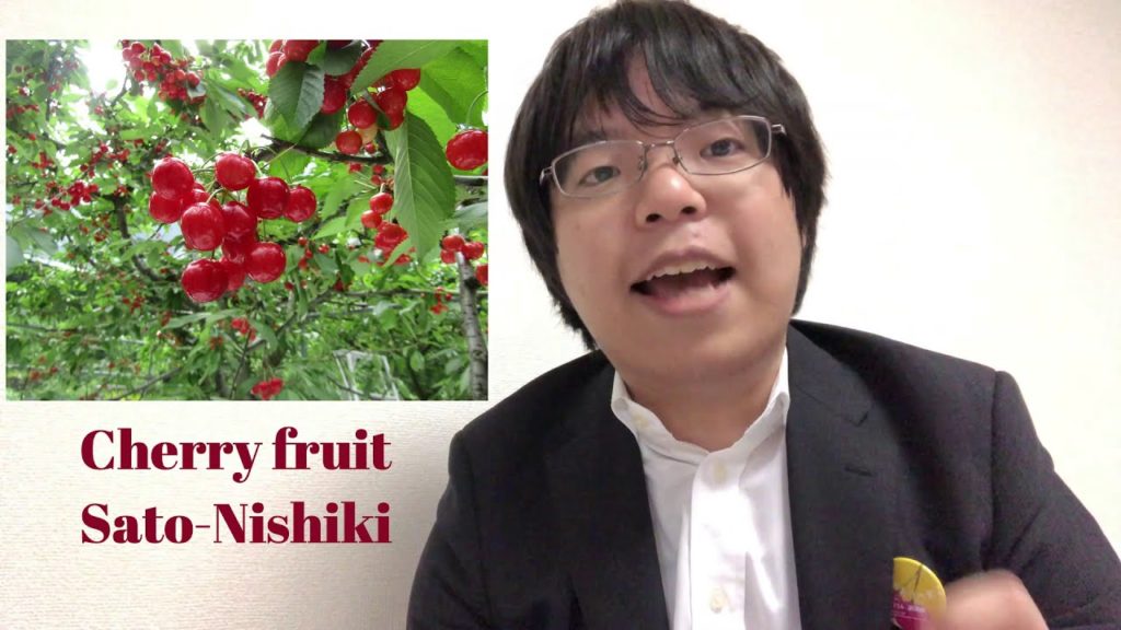 Learn Yamagata,Japan #WithMe #StayHome ,3 holy mountains ,Mogami river,chrries and imoni