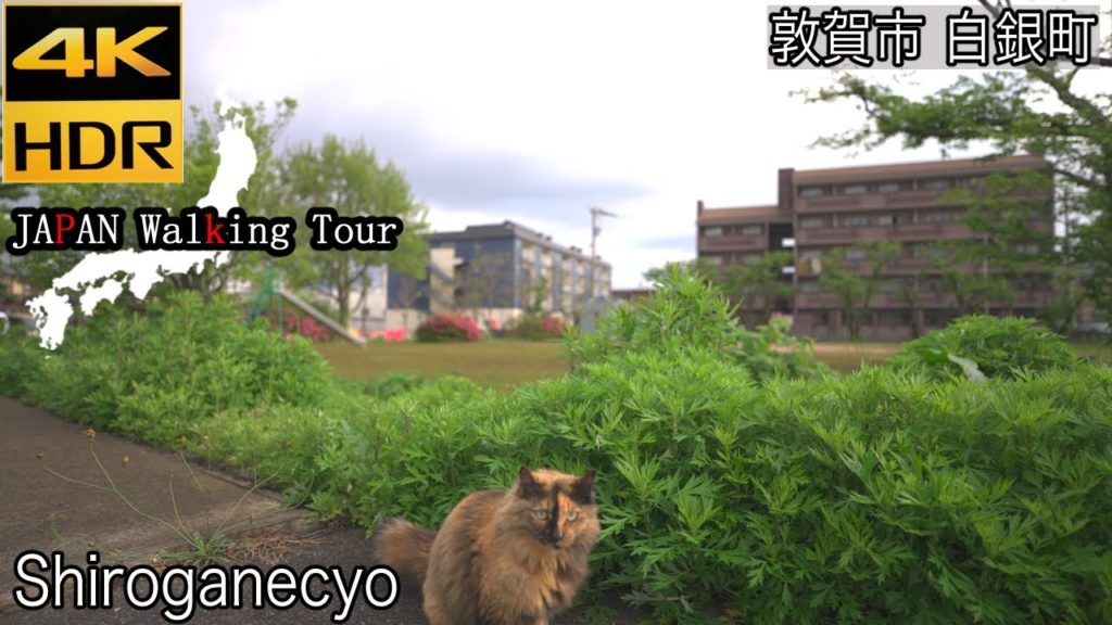 [4K HDR] Shiroganecho, Tsuruga ,Fukui | 福井県敦賀市 白銀町
