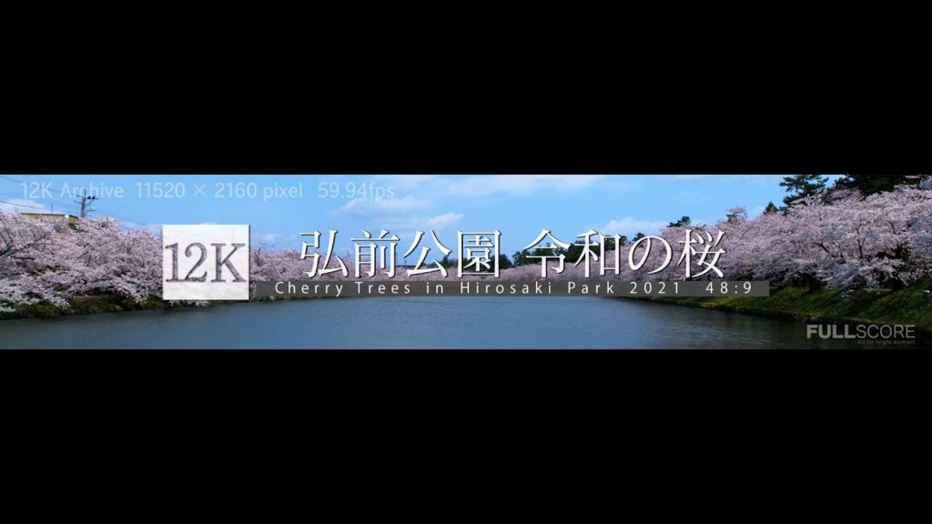 [12K footage] Cherry Trees in Hirosaki Park 2021 【弘前公園 令和の桜_12K WIDE 48:9】
