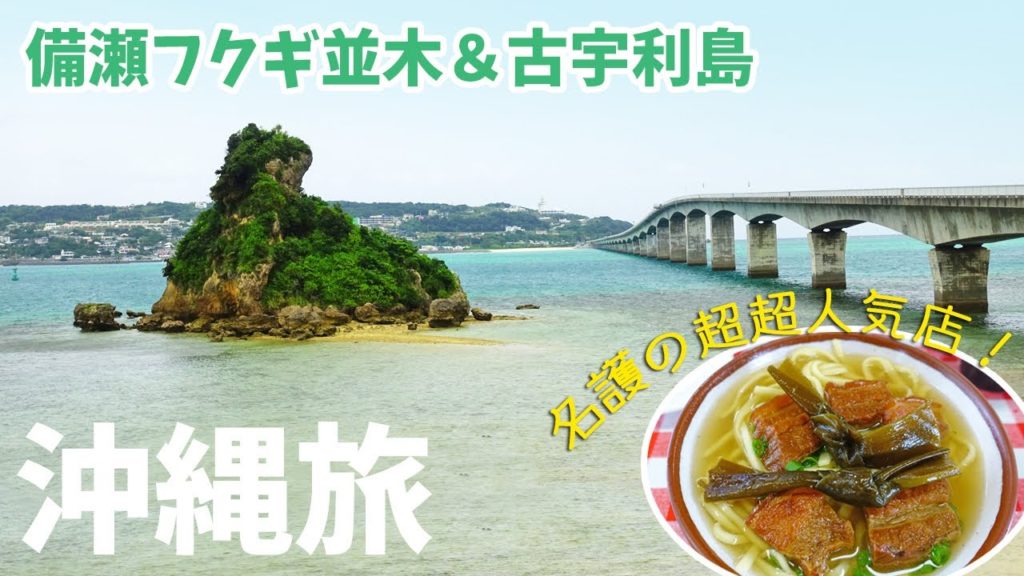 [ 沖縄本島 3泊4日の旅 ]　#5 早朝の備瀬フクギ並木 ＆ 曇天の古宇利島　～ やっぱり美味しかった宮里そば ～