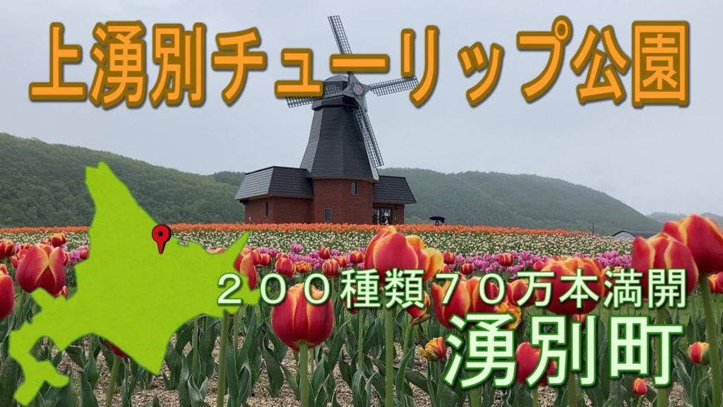 【北海道旅行】２００種類の７０万本のチューリップが満開。上湧別チューリップ公園のチューリップは満開です。東藻琴芝桜公園・滝の上芝桜公園等お花観光は熱い　Superb view of Japan