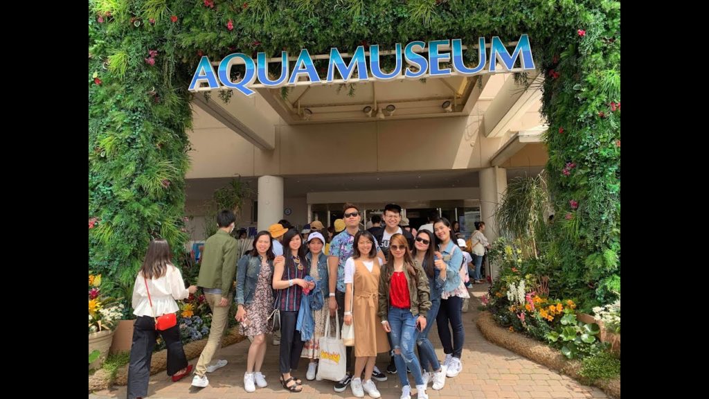 AFTER WORK IN JAPAN | TOKYO | ODAIBA | YOKOHAMA