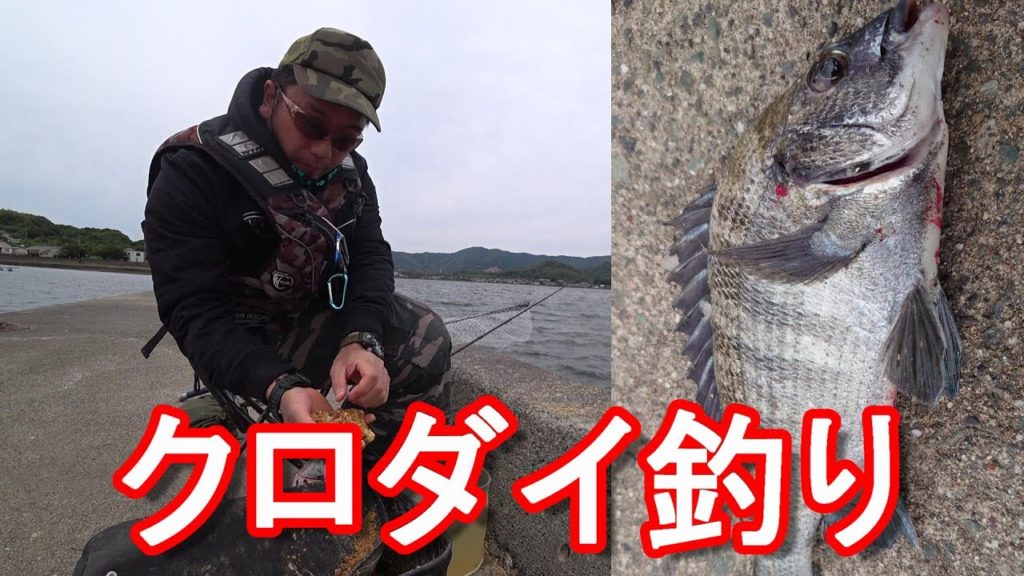 静岡県【浜名湖釣り】ダンゴ釣りでクロダイ(チヌ)狙い!黒鯛は!?遠州釣り倶楽部!アキーラ釣りチャンネル作成Fishing at Lake-Hamana in Japan 静岡県【浜名湖釣り】ダンゴ釣りでクロダイ(チヌ)狙い!黒鯛は!?遠州釣り倶楽部!アキーラ釣りチャンネル作成Fishing at Lake-Hamana in Japan
