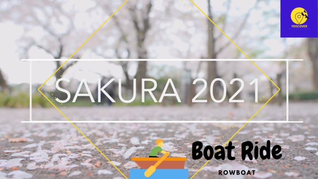 【4K】Tokyo Cherry Blossoms 2021 |7Discover 【4K】Tokyo Cherry Blossoms 2021 |7Discover