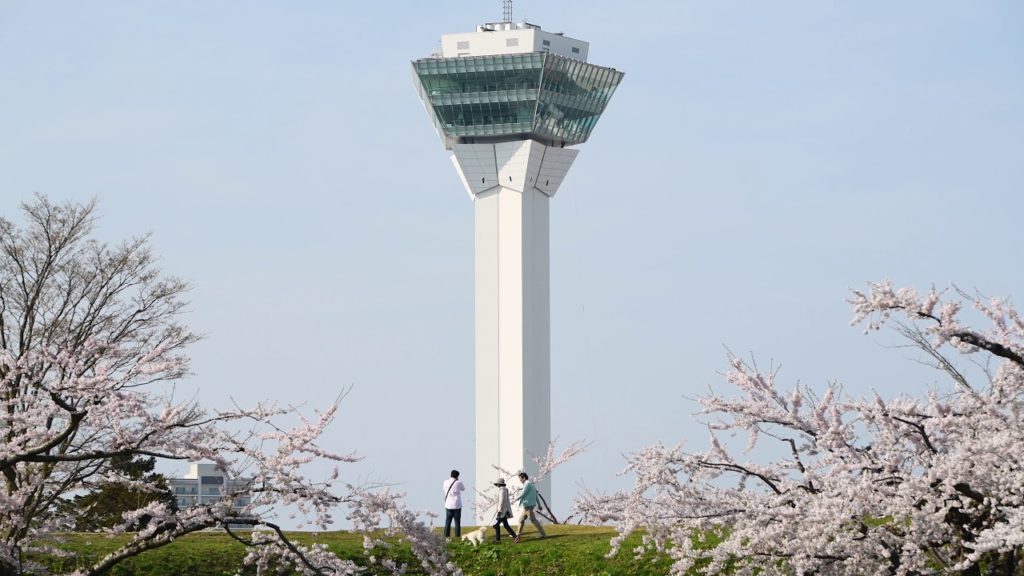 Hakodate’s Cherry Blossoms Spring 2018 | nippon.com