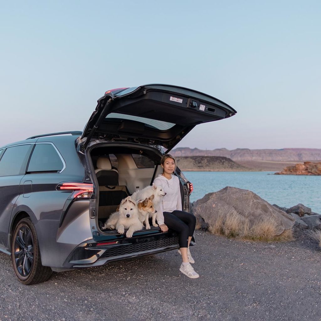 We are most alive when we are exploring.

#AAPI #Sienna #Hybrid #LetsGoPlaces...