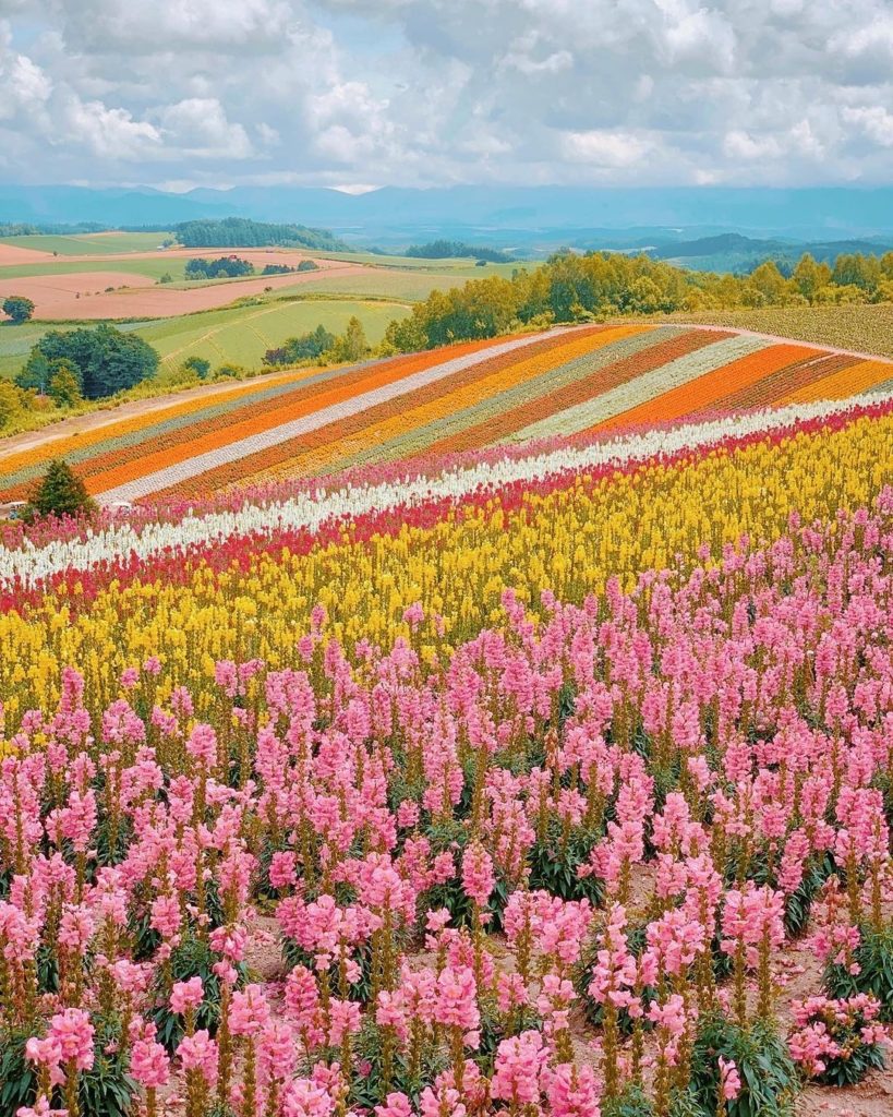 Japan Travel: Hokkaido is known for being a winter wonderland, and it’s a popular destination … Hokkaido is known for being a winter wonderland, and it's a popular destination ...