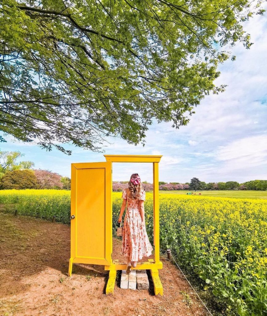 Flower power at Showa Memorial Park in Tokyo!  With over 160 hectares, you can e...