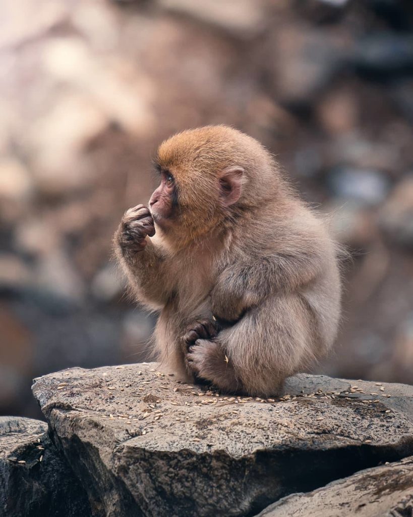 We feel like this photo sums up all of us wondering when travel will resume!   W...