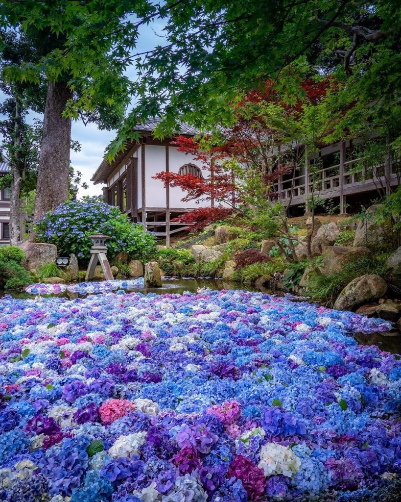 Japan Travel: The rainy season is upon us earlier than in past years, but there are still plen… The rainy season is upon us earlier than in past years, but there are still plen...