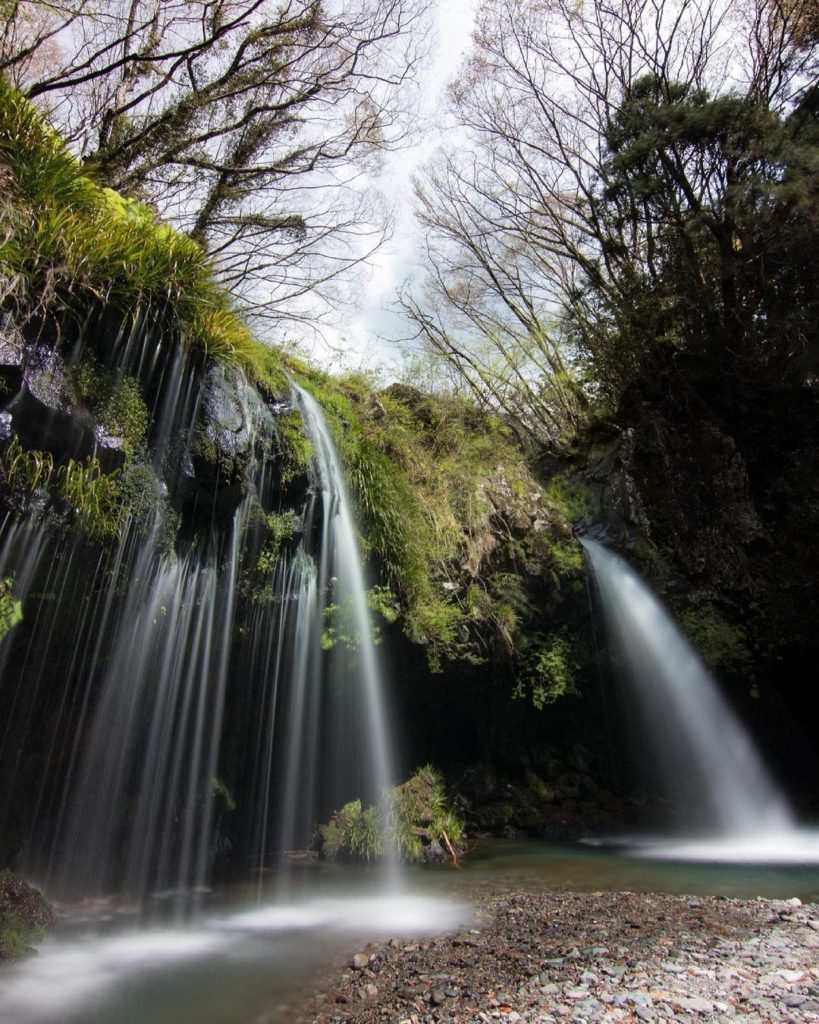 The relaxing waterfall with the long past
Surrounded by refreshing new green lea...