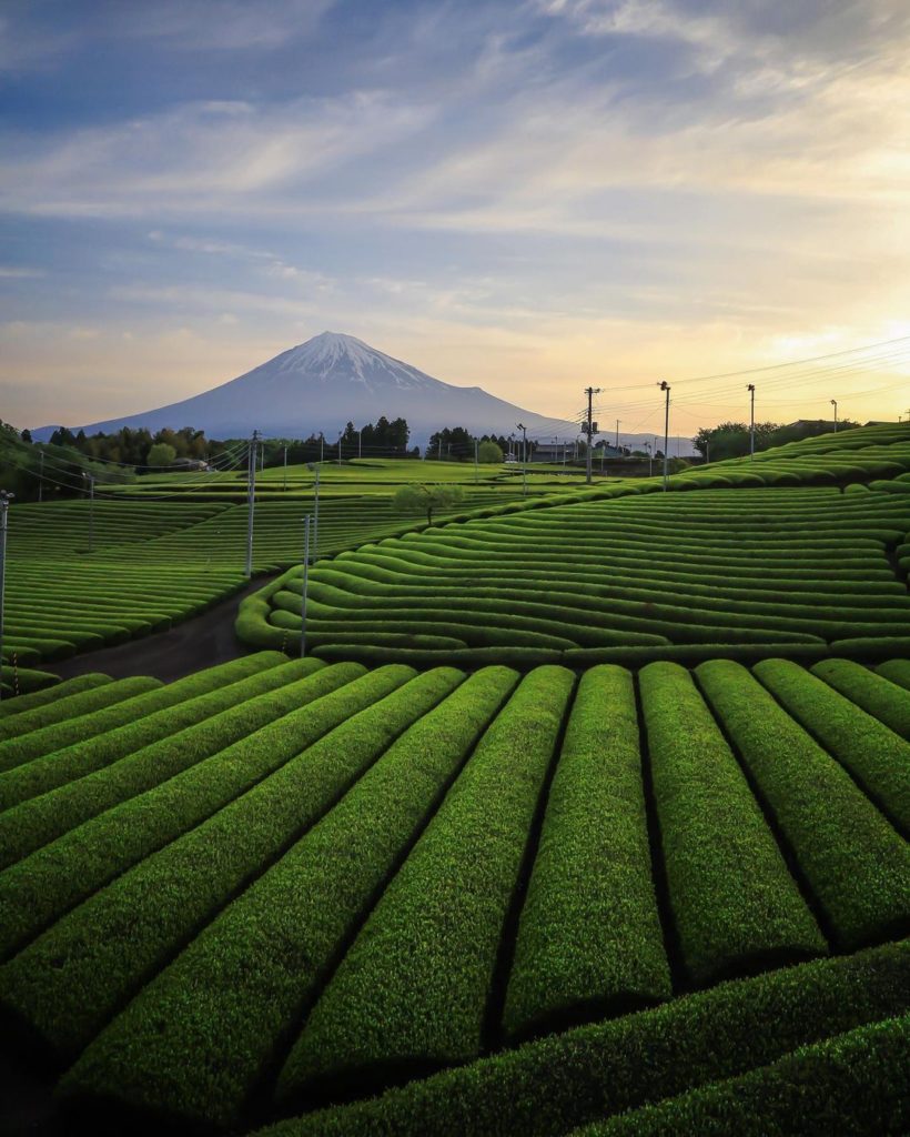 Visit Japan: Where’s the best spot to see Mt Fuji, you ask?
While there are many great vie… Where's the best spot to see Mt Fuji, you ask?
While there are many great vie...
