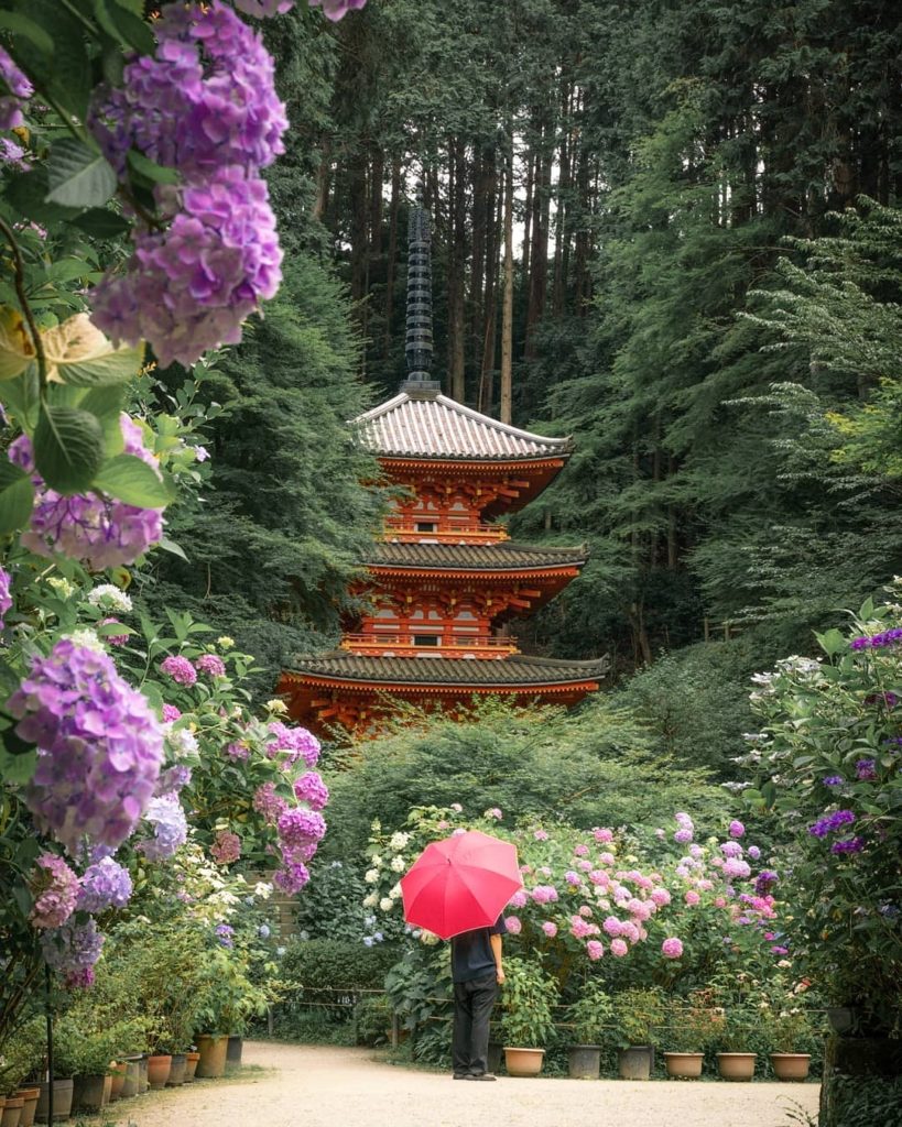 Always make time to stop and smell the flowers 
: @arasi62
-----⁣⠀
Gansenji Temp...