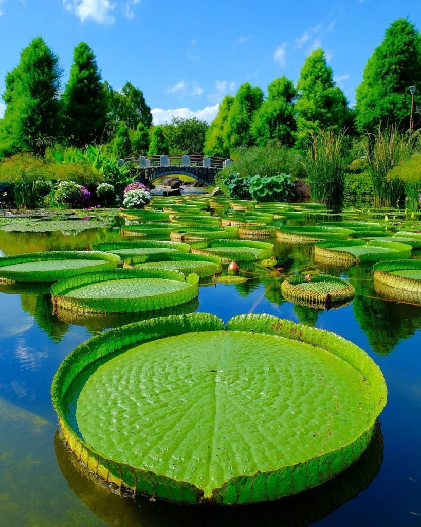 We're green with envy. When we see shots like this cracker from Shiga local @tks...