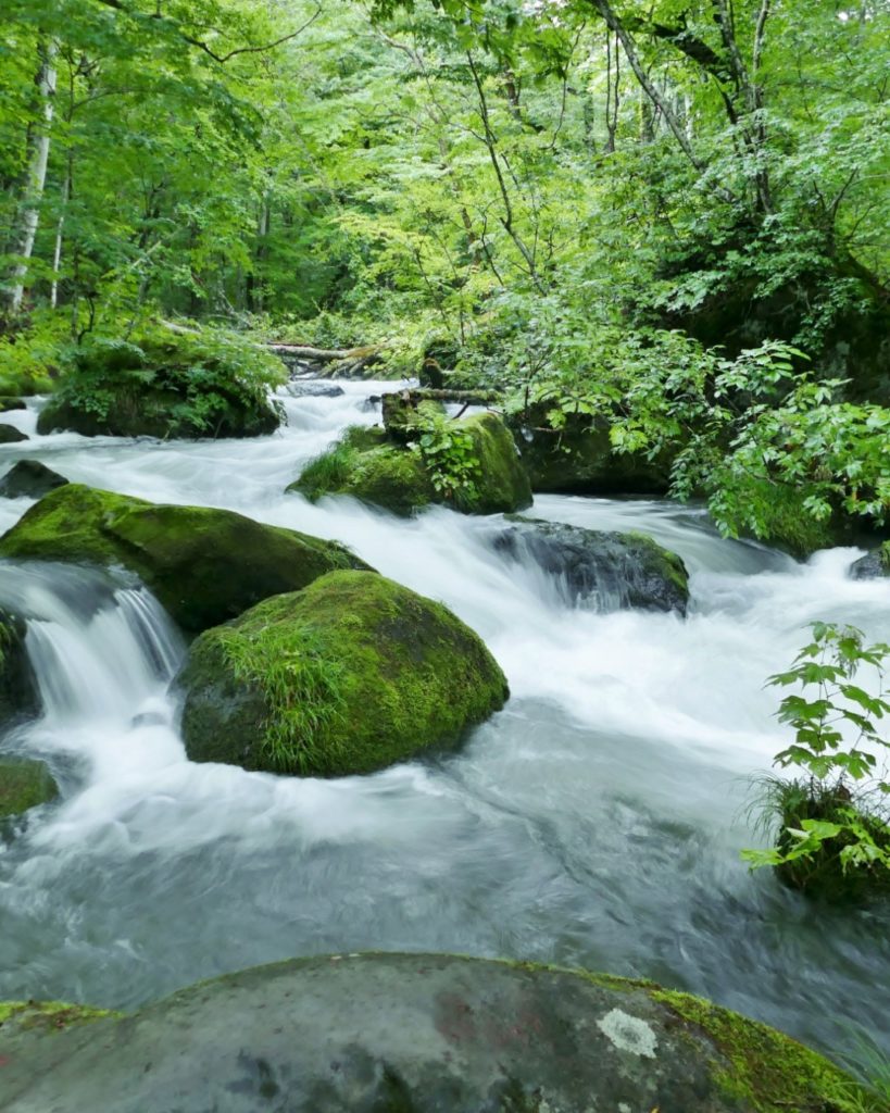 Set deep in the lush forest of Lake Towada National Park, Oirase Stream winds 14...