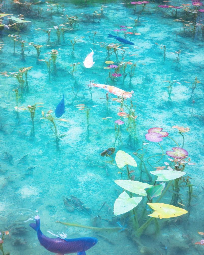 Nemichi Shrine's 'Namonaki' (nameless) pond is nicknamed Monet’s Pond for its be...