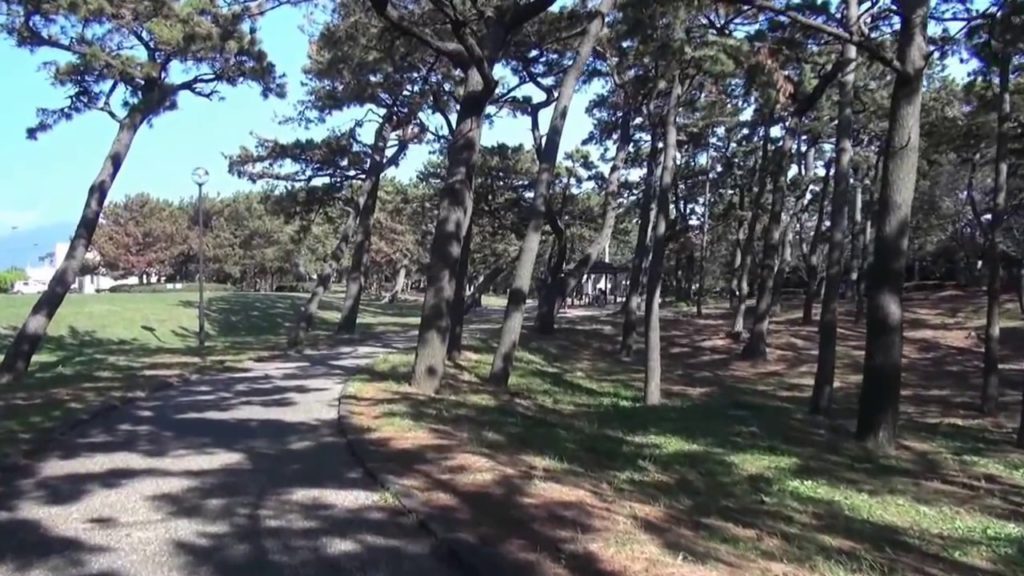 港口公園 （静岡県沼津市）　Minatoguchi Park in Numzu, Shizuoka