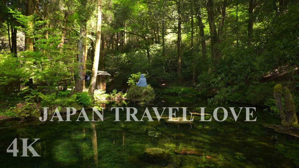 【4K】Ikeyama Water Source – A landscape like the "Princess Mononoke". 【JAPAN KUMAMOTO】 【4K】Ikeyama Water Source - A landscape like the "Princess Mononoke". 【JAPAN KUMAMOTO】