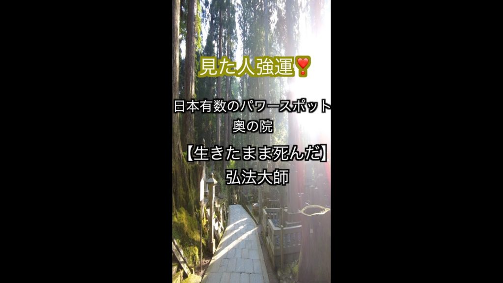 ※この動画を見つけた時あなたに幸運が訪れる【生きたまま死んだ男】高野山奥之院参道　全国パワースポットひとり旅　＃shorts