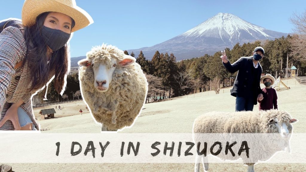 Things to do in Shizuoka, Japan - Shizuoka Day trip vlog