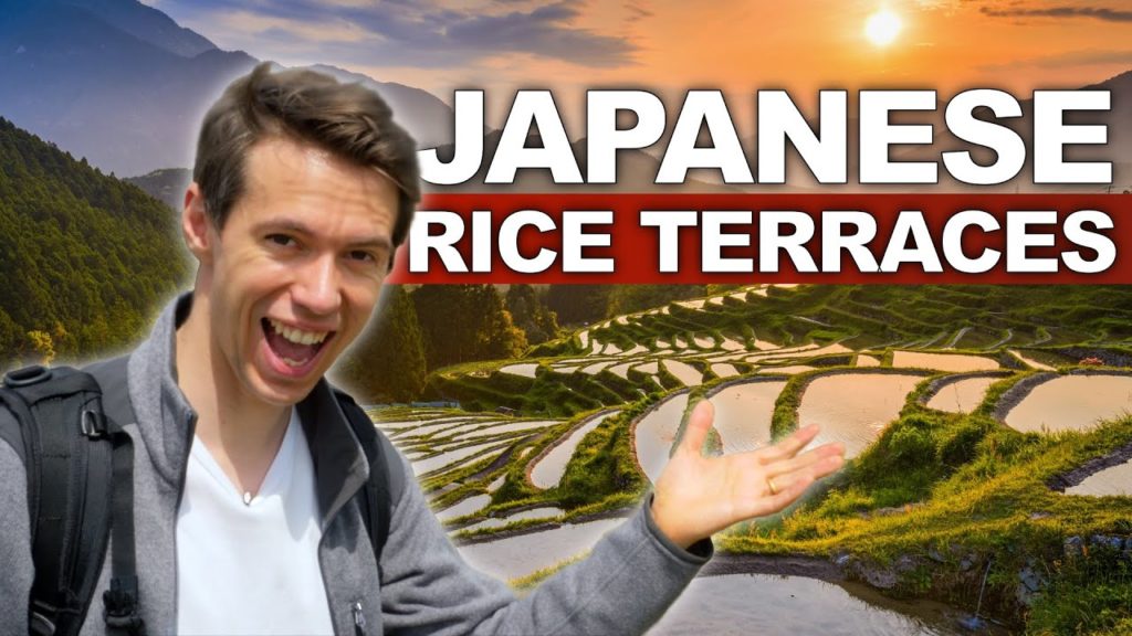 I went to see Japan's Most Scenic Rice Terraces