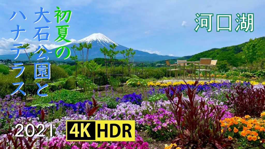 2021 初夏の大石公園とハナテラス(4K-HDR) Oishi Park & Flower Terrace At Lake Kawaguchi In Early Summer(UHD-HDR)