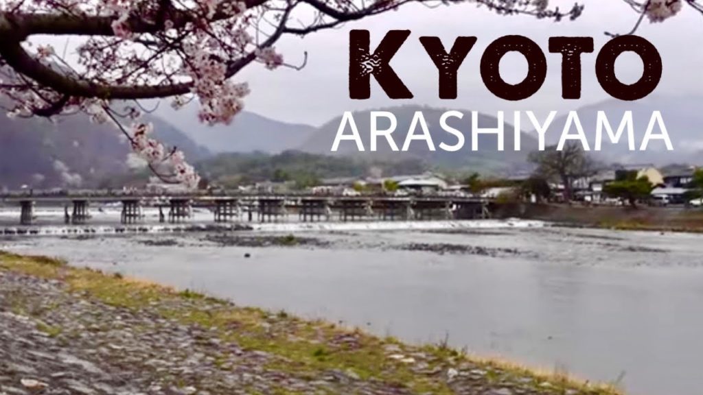 SAKURA in KYOTO on a Rainy Day