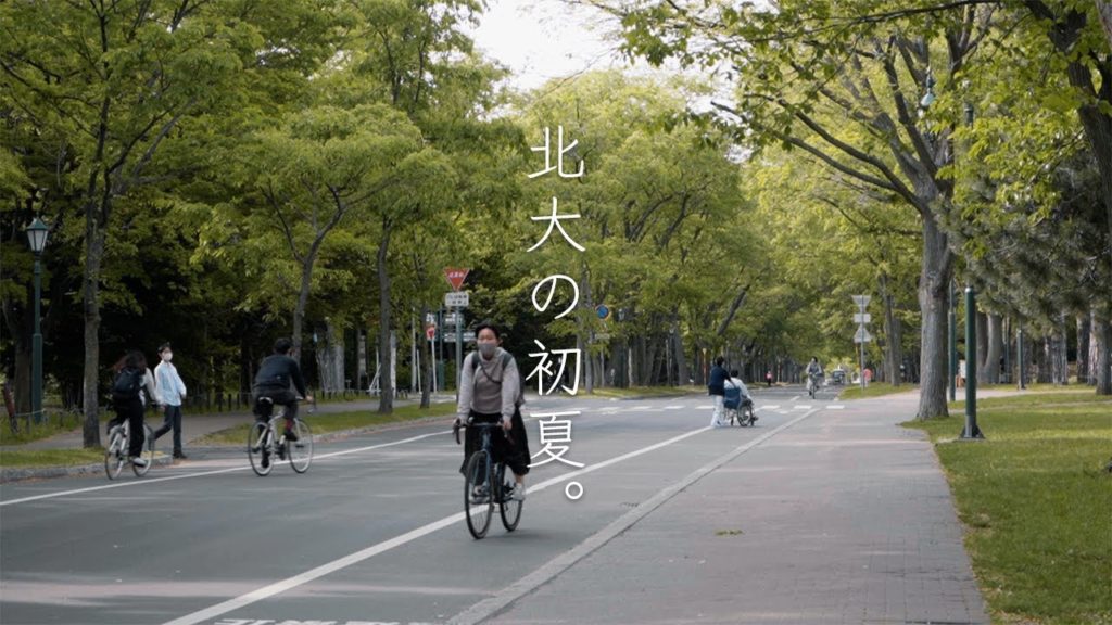 北海道大学の初夏｜Early Summer at Hokkaido University