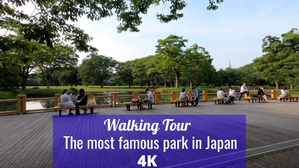 The most famous park in Japan! 4K! The most famous park in Japan! 4K!
