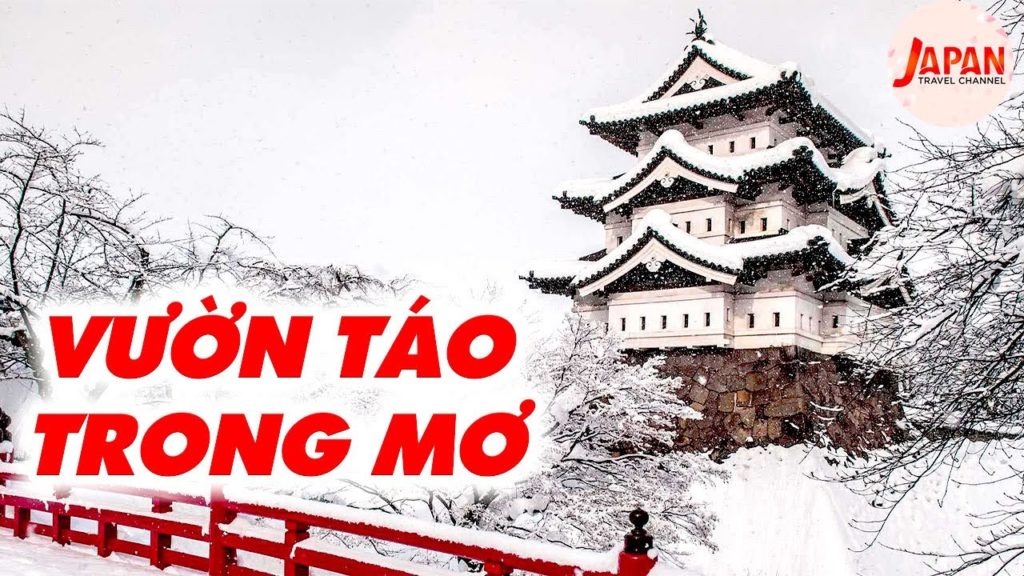 Vườn táo trĩu quả tại Aomori những quả táo đỏ như môi Bạch Tuyết | Japan Travel Channel Vườn táo trĩu quả tại Aomori những quả táo đỏ như môi Bạch Tuyết | Japan Travel Channel