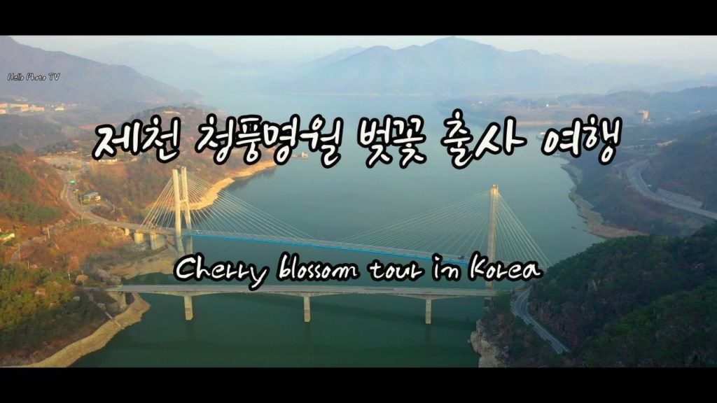 [Hello Photo TV]제천 청풍명월 벚꽃 출사 여행, Cherry blossom, tour in Korea, Viajes en flor de cerezo,樱花旅行, 桜の旅