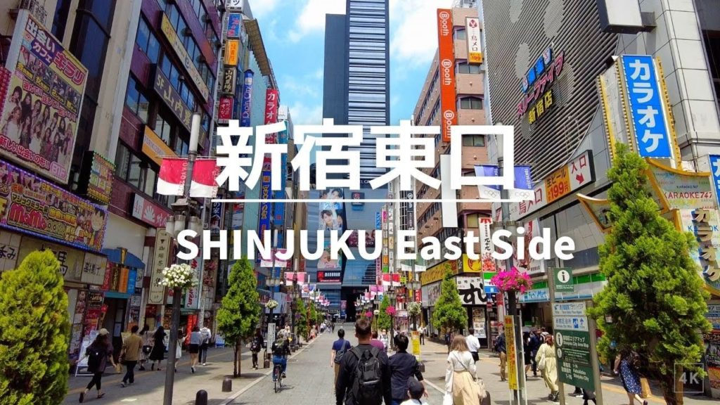 [4K WALK TOKYO] What is Shinjuku East side like? Quick Walk through in Shinjuku Tokyo