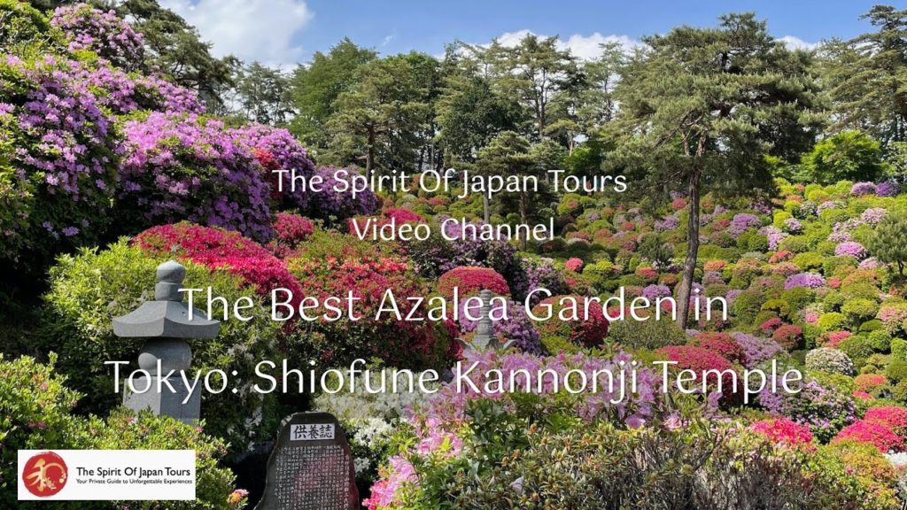 Shiofune Kannonji Temple – see the best azalea garden in Japan Shiofune Kannonji Temple - see the best azalea garden in Japan