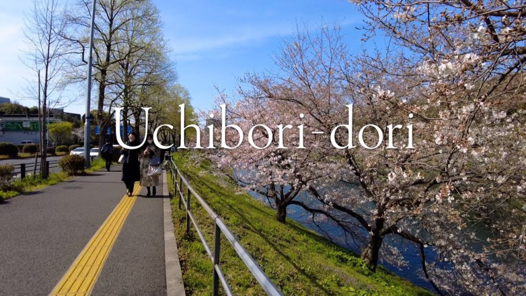 ［散歩］Taking a walk on Uchibori-dori,Tokyo.(March 2021)