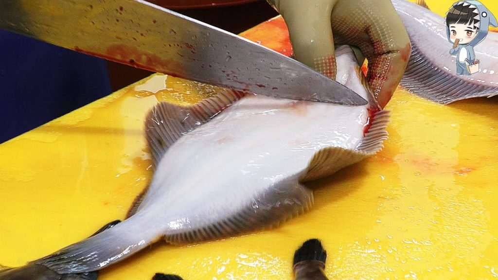 KOREAN STREET FOOD HALIBUT FLATFISH TRIGGERFISH SASHIMI KOREA SEAFOOD MARKET 포항 송도 활어회센터 모듬회 250421